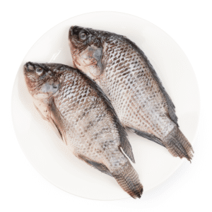 Tilapia GG (500-600)