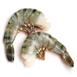 Black Tiger Headless