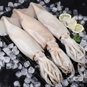 Thai Squid (Raw) (6-8")
