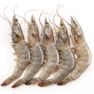 Vannamei Shrimp Head On