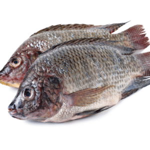 Tilapia Raw